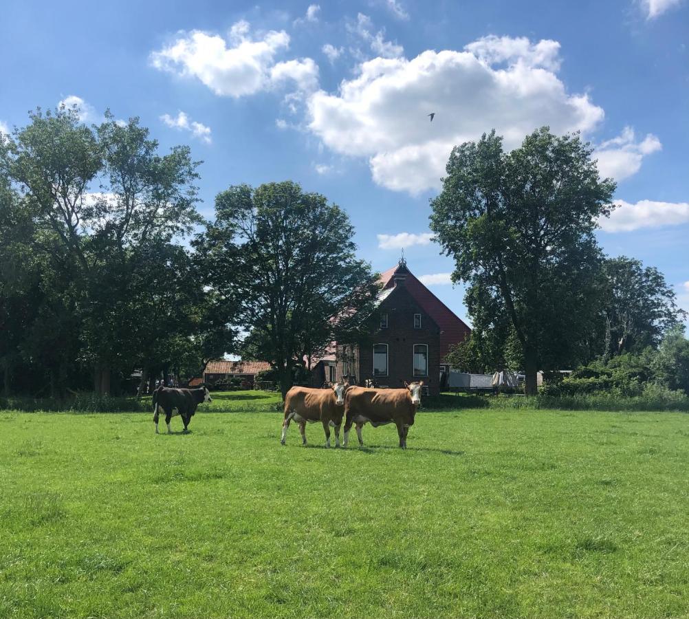 Appartementen Verhuur De Trijehoek Stiens Esterno foto