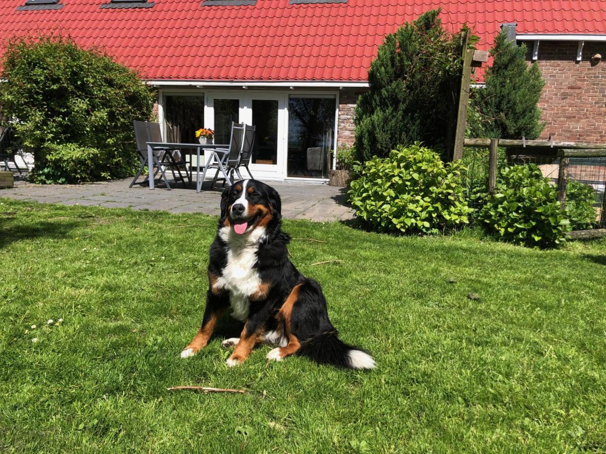 Appartementen Verhuur De Trijehoek Stiens Esterno foto